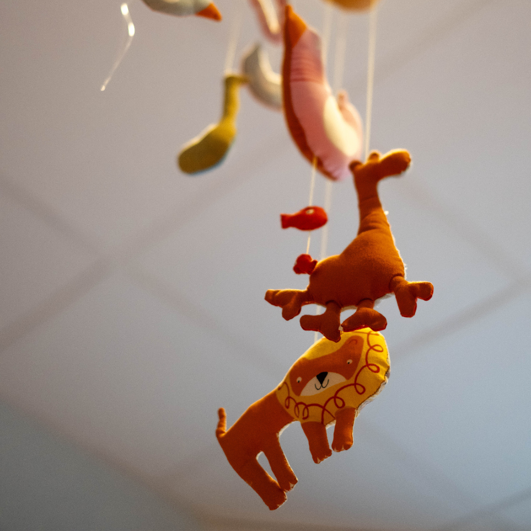 réseau perinatal