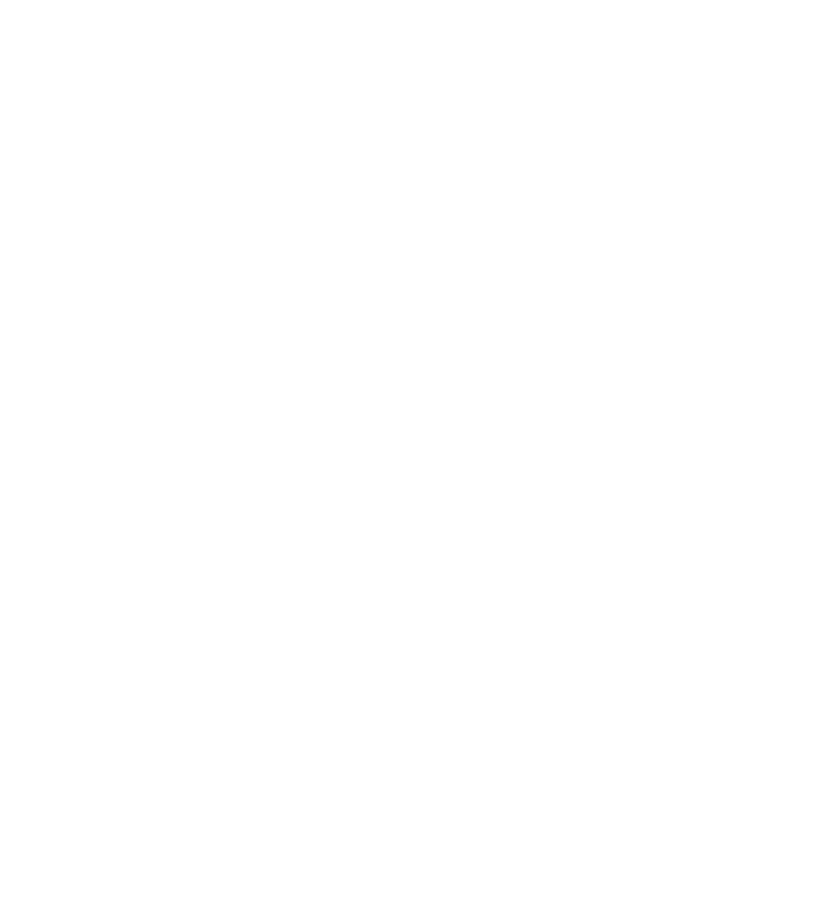 logo perinatal