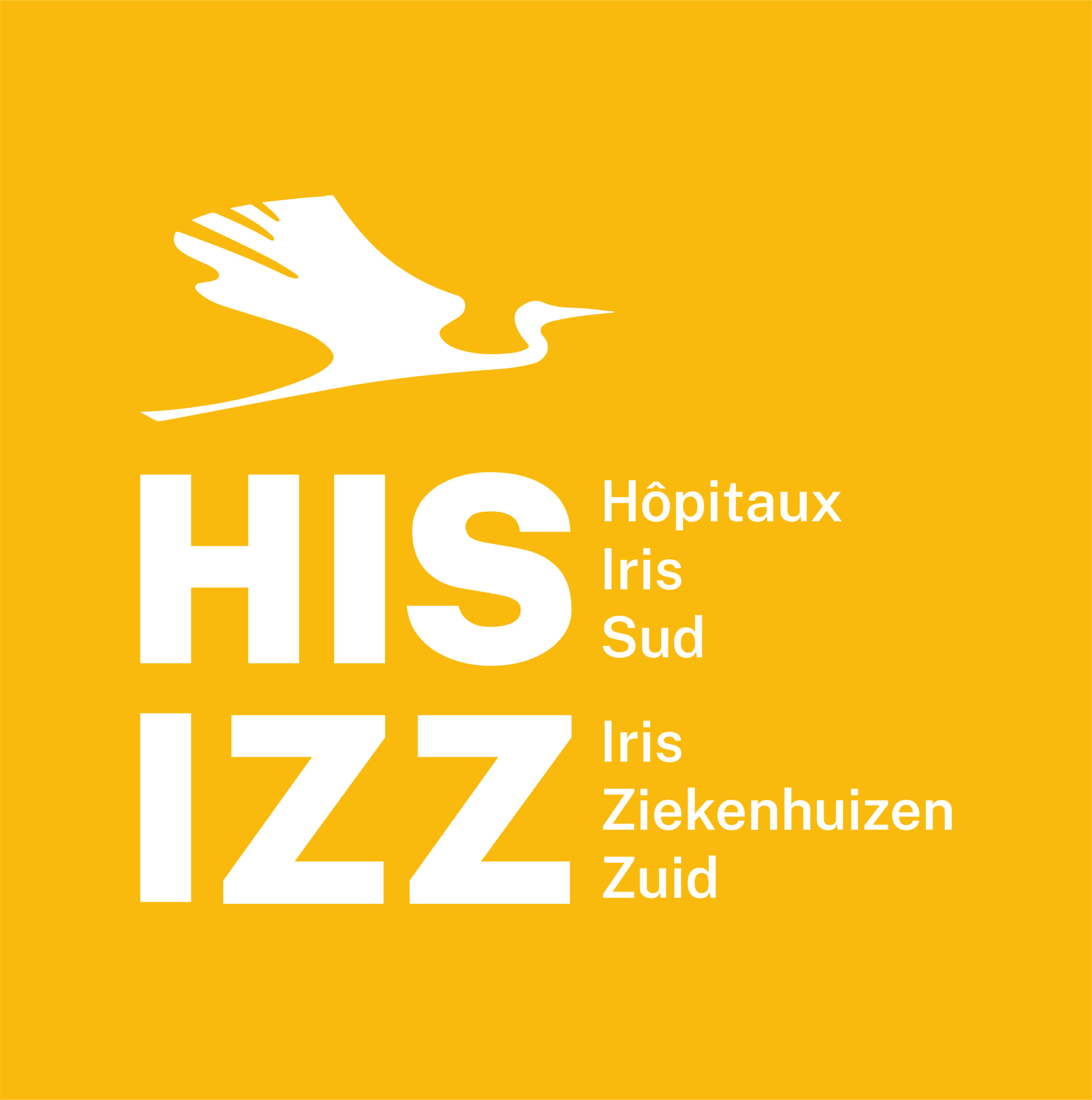 HIS_IZZ-logo_RVB